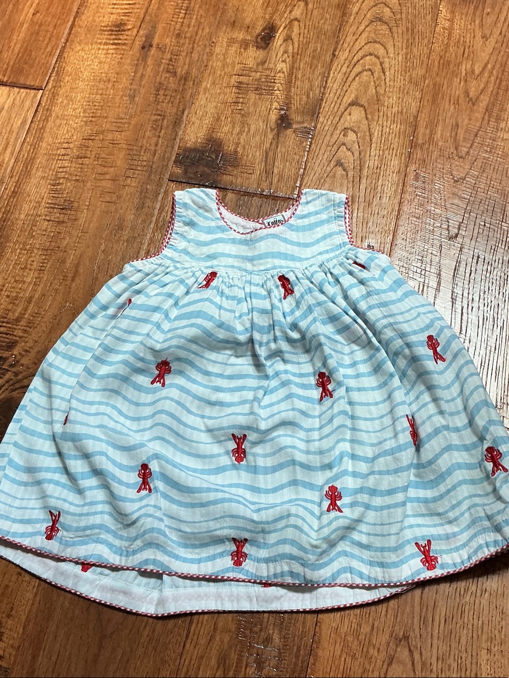 Striped Light Blue Girls Sundress with Red Embroidery